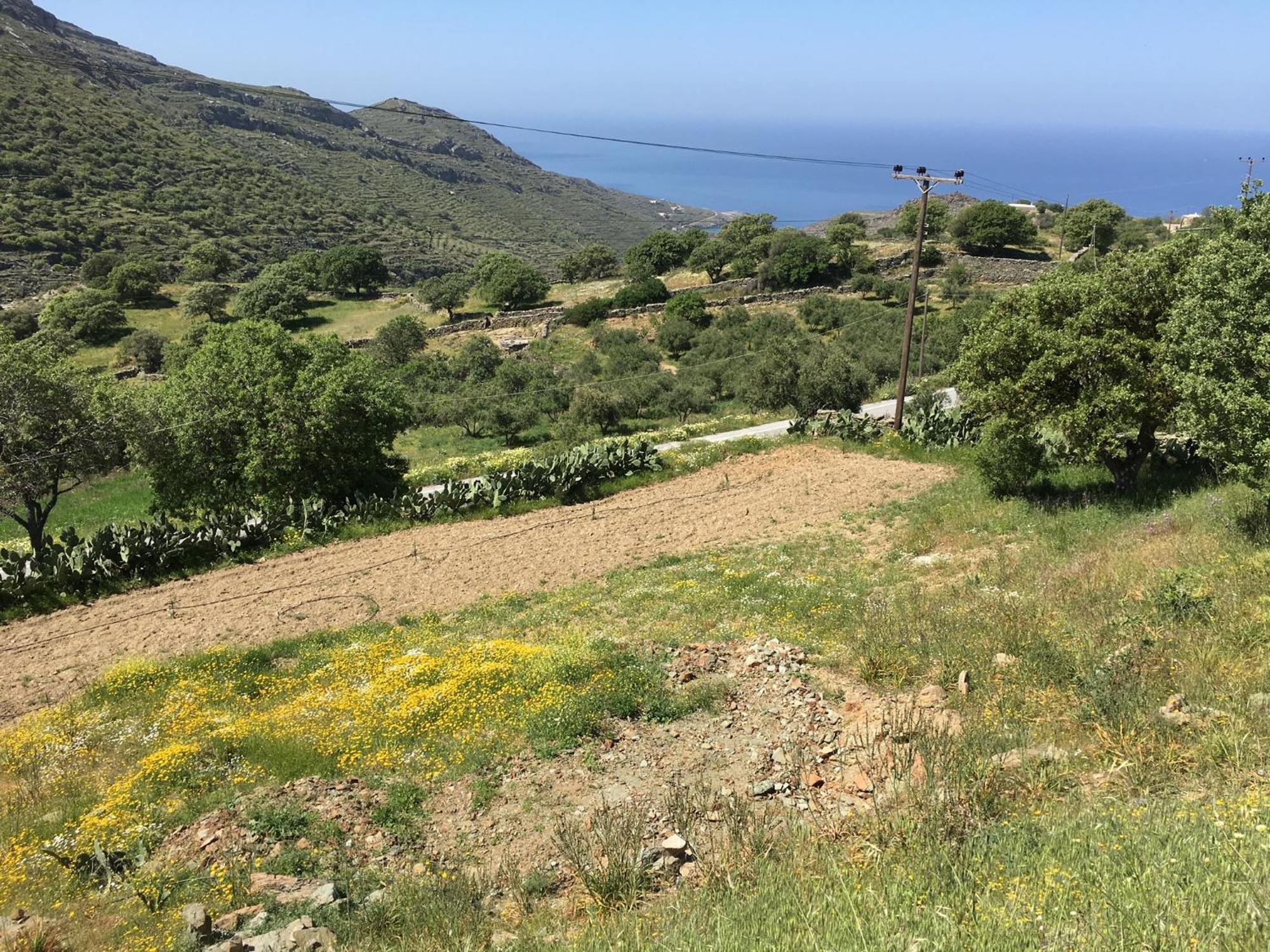 Rural Guest House B&B Chavouna Dış mekan fotoğraf