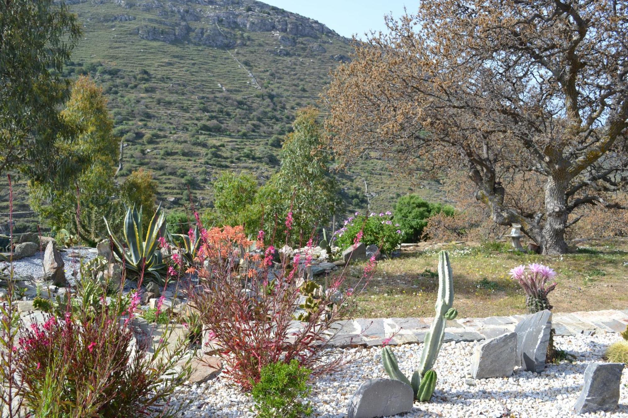 Rural Guest House B&B Chavouna Dış mekan fotoğraf